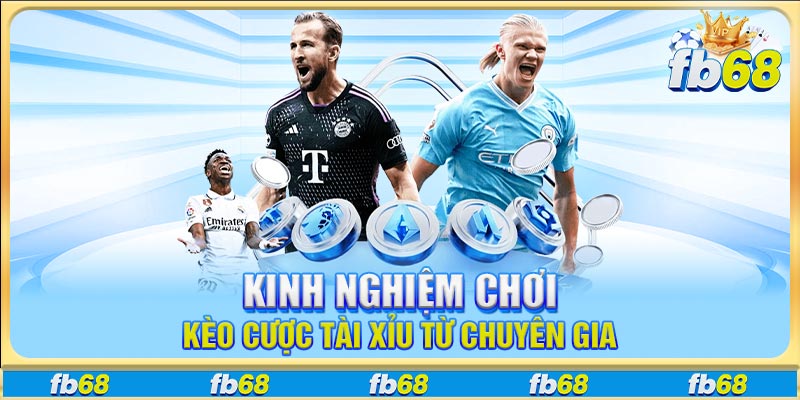 Kinh nghiệm chơi kèo cược tài xỉu từ chuyên gia