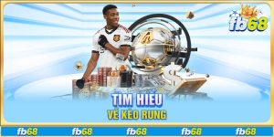 Tìm hiểu về kèo rung